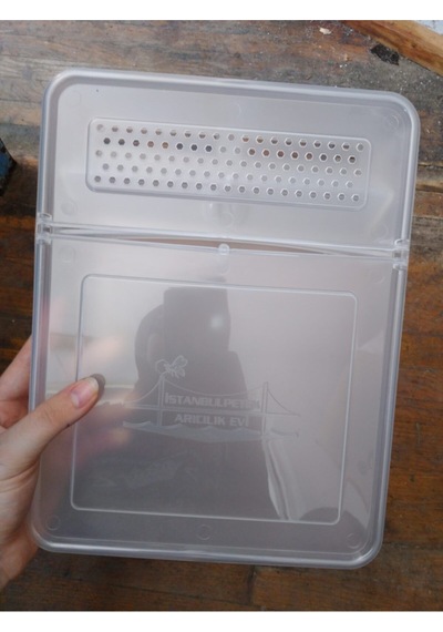 Kutu Arı Şerbetliği Şeffaf 11 X 18 Cm Tekli Plastik Kap 1 Litre Kapasitelidir Tr