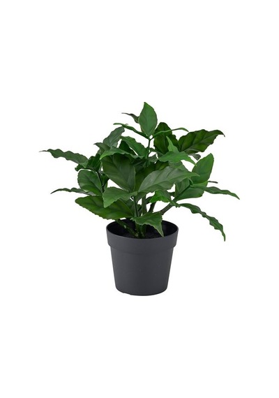 Ikea Fejka Yapay Bitki, Yeşil, 9 Cm, İç/dış Mekan Tatlı Defne