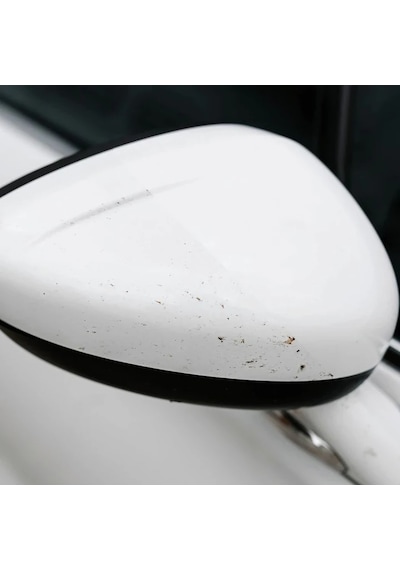 K2 Nuta Anti Insect Pro Sinek Böcek Kuş Pisliği Temizleyici 1l
