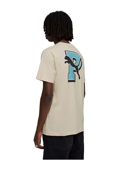 Puma Graphıc Tee Erkek Bej Tişört 69177687