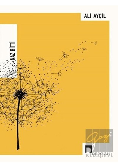 Naz Bitti - Ali Ayçil - Dergah Yayınları