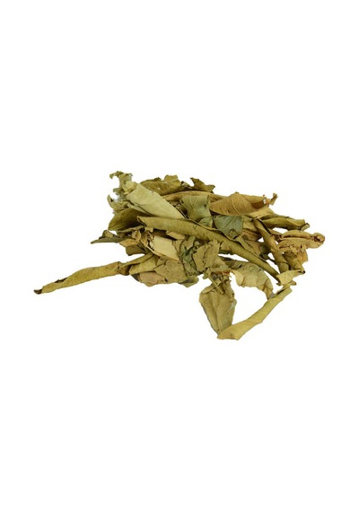 Tç Yaprağı Doğal 100 Gr Paket