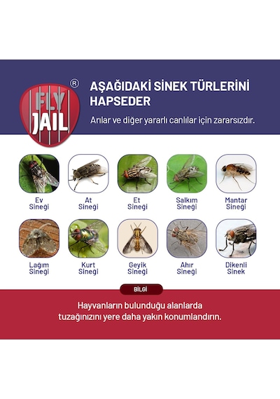 L Karasinek Tuzağı Standart