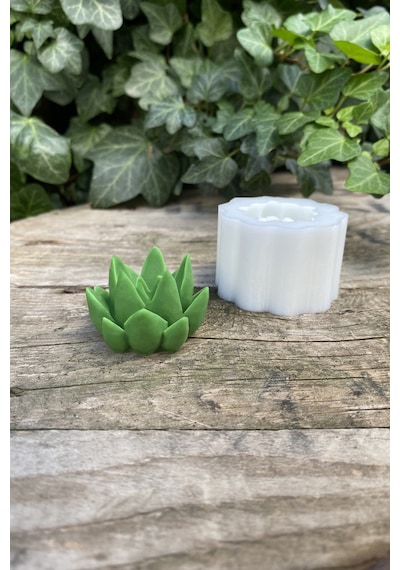 Rufus Concept Agavoides Sukulent Mum Kalıbı ( Silikon )