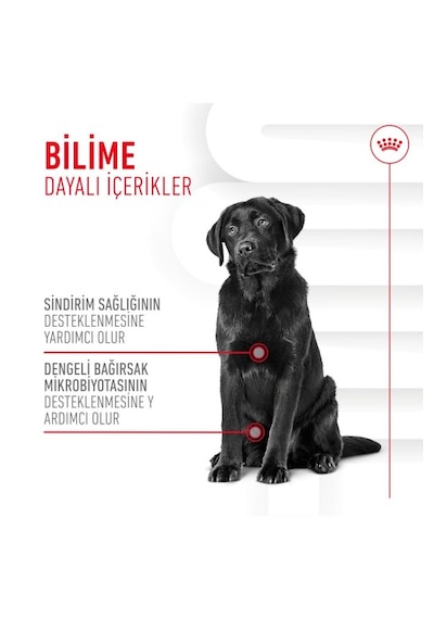 Digestion Chews Yetişkin Köpekler İçin Sindirim Sistemini Destekleyen Tamamlayıcı Ödül Maması 160g