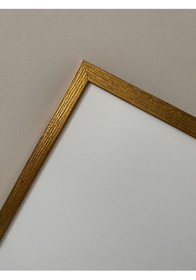 35x50 Gold Kabartmalı Boş Hazır Kullanıma Uygun Çerçeve
