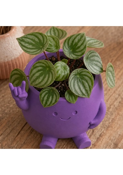 3d Baskı Smiley Face Planter - Gülümseyen Karakterli Saksı-mor