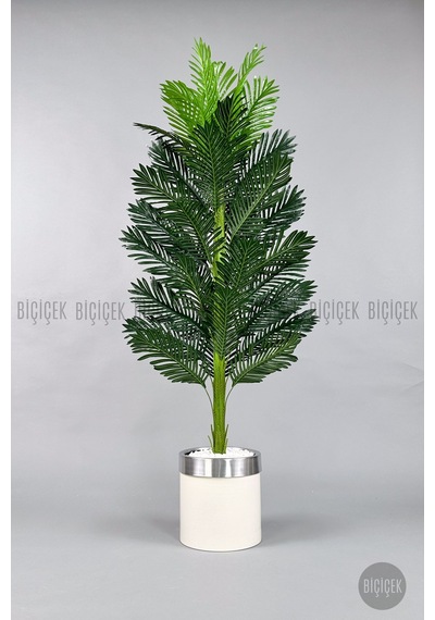 Yapay Areka Ağacı 160-180 Cm Kl