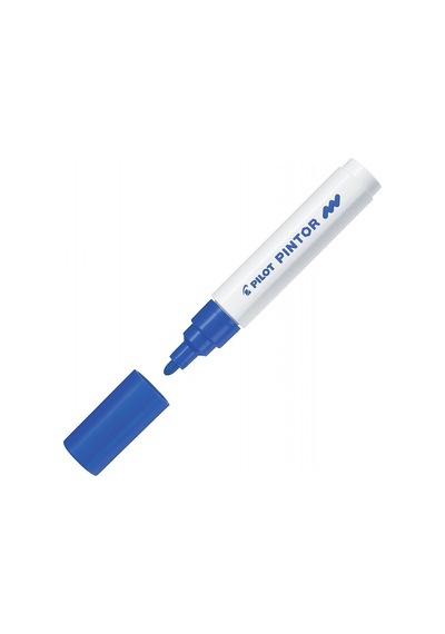 Pilot Pintor M Mavi Sw-pt-m-bl Çok Renkli