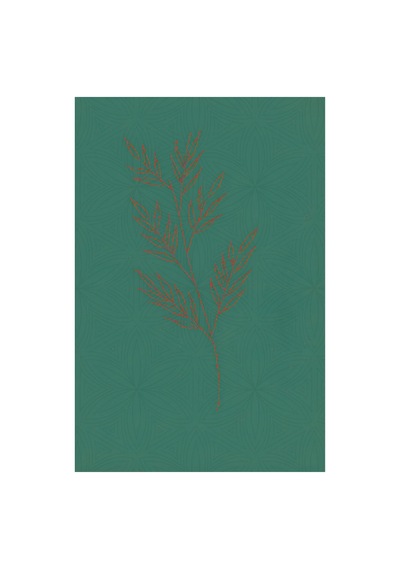 Kartela Halı Evo Halı Jüt Taban Dokuma Halı Yeşil - 120 X 180 Cm