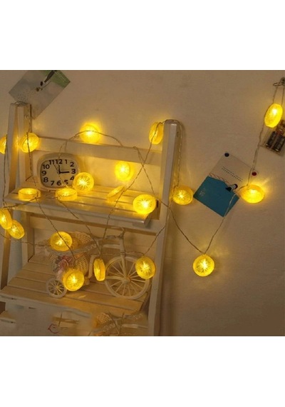 2m 10 Led Pilli 2 Kademeli Limon Led Işık Mz-304 Çok Renkli