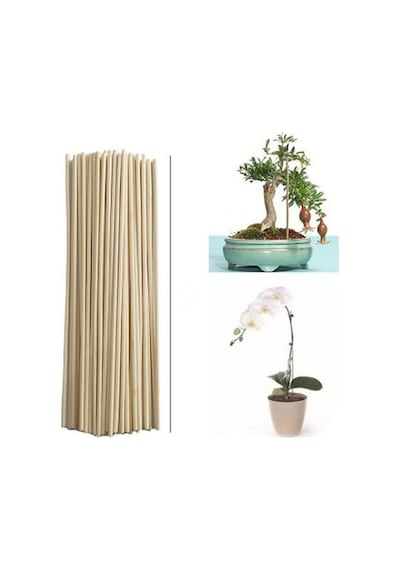 Saksı Bitkileri Destek Çubuğu 35 Cm 50 AD