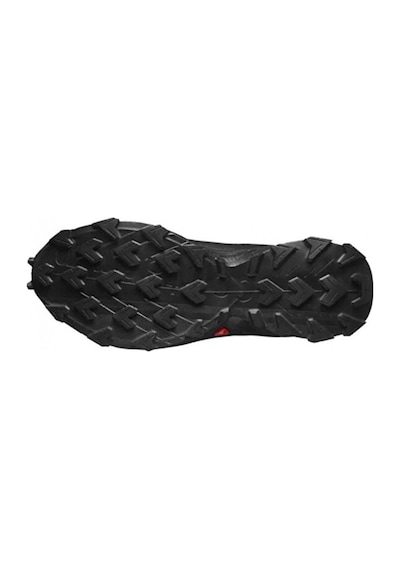 Salomon Alphacross 5 Gtx Erkek Koşu Ayakkabısı L47307500 001