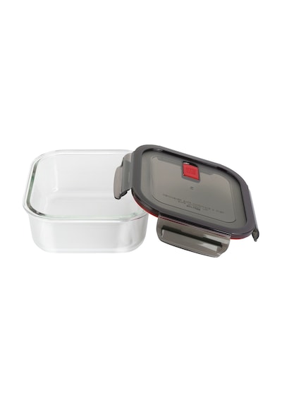 Zwıllıng 395060060 Gusto Cam Saklama Kabı Kare Çok Renkli