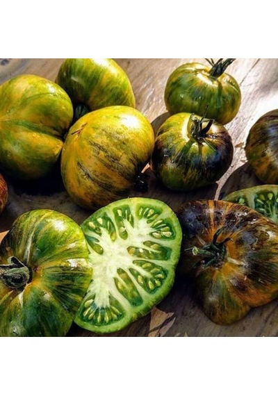Yeşil Etli Xanadu Green Goddess Domates Tohumu 15 Tohum