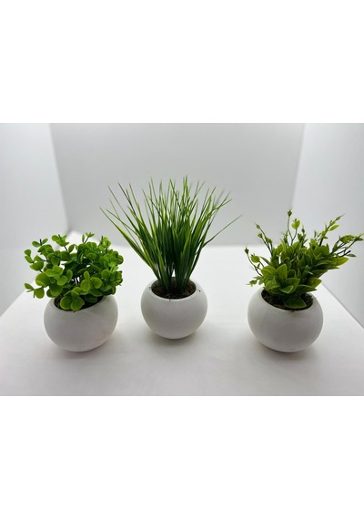 Mini Beton Saksı 3'lü Set Gerçek Yosunlu Yapay Çiçek Aranjman Hediyelik Paket Saksı