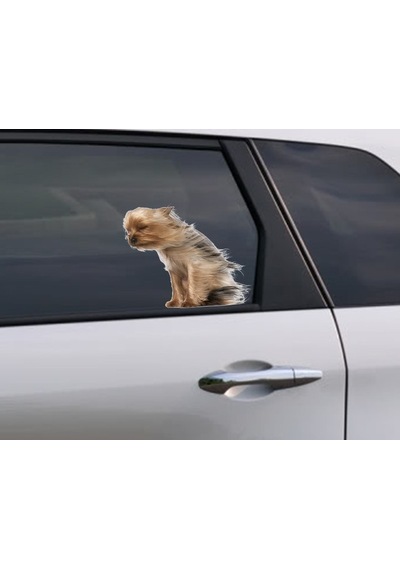 Terrier Rüzgara Karşı Komik Köpek Sticker 1 Adet 20cm