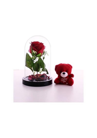 Fanusta Led Işıklı Kırmızı Gül Ve Kırmızı Mini Ayıcık Sevgiliye Eşe Sürpriz Hediye Set Sevgiliye Strglbl75