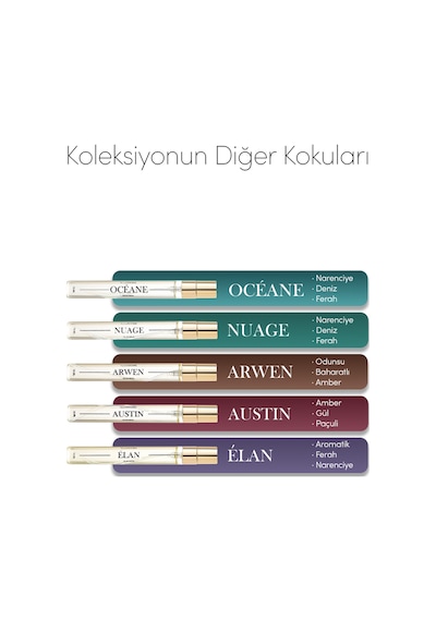 Ambre Edp Kadın Seyahat Boy Parfüm 10ml Amber-paçuli-gül Bergamot, Sedir, Karanfil, Vetiver Aromatik