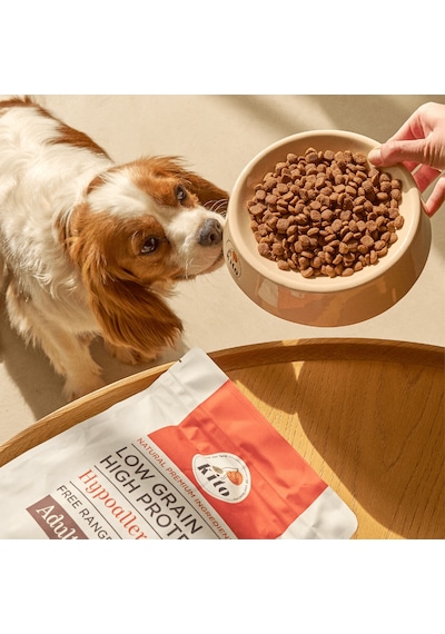 Kito Doğal Besi Kuzu Etli Yetişkin Mini Irk Köpek Maması 2.5 KG