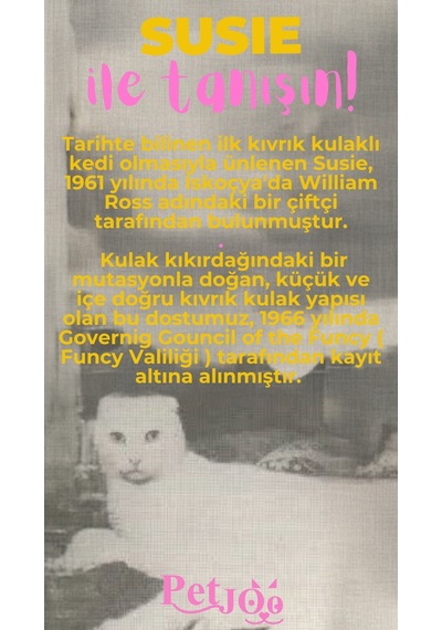 Petjoo 3.Susie Pembe-Sarı Qr'lı Kedi Künyesi