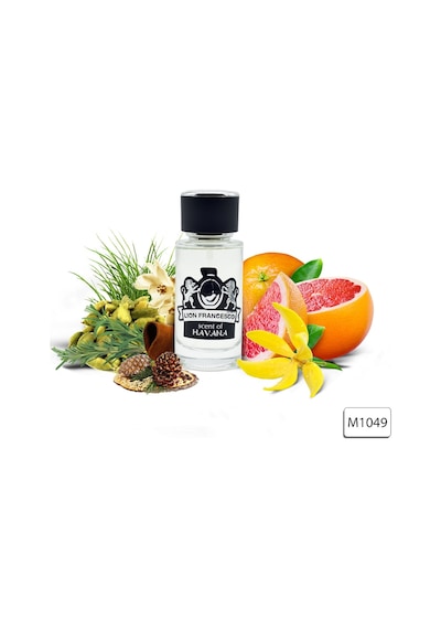 Lion Francesco Scent Of Havana Erkek Parfüm EDP 50 ML