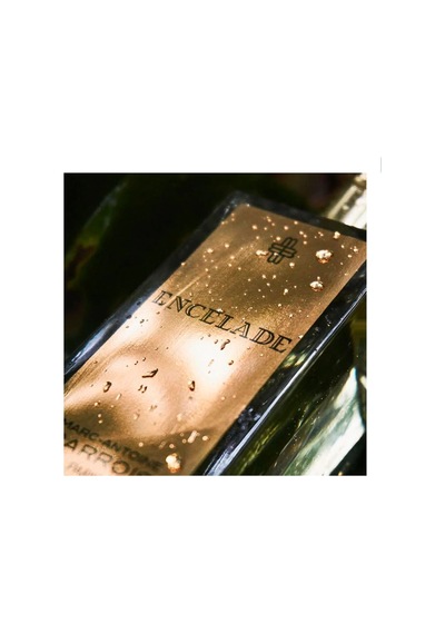 -antoine Barrois Enclade Edp 100ml Diğer