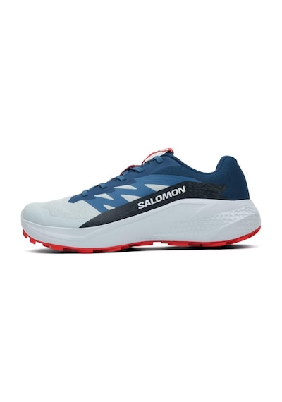 Salomon Alphaglıde Erkek Patika Koşusu Ayakkabısı L47724300 L47724300 Ama Açık Mavi