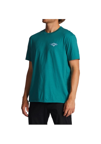 Billabong Bıllabong Bıllabong Tall Tale Ss Erkek T-shırt Dmı Mint