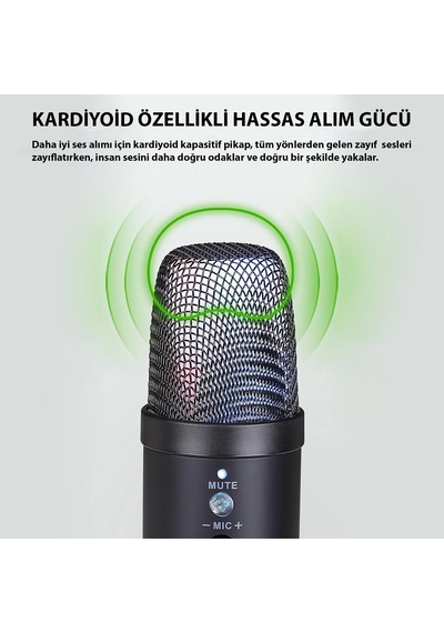 Triline Profesyonel Kardioid Rgb Oyuncu Stüdyo Kayıt Kablolu Podc