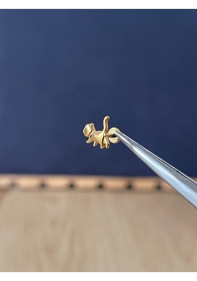 %100 G23 Titanyum Kedi Altın Titanyum Model Titanyum Labret Kıkırdak Piercing