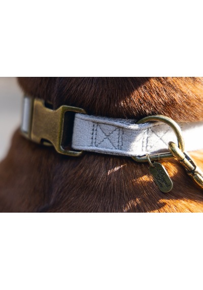 Hnrlıshp Beeztees Dbl Köpek Tasması, Kadife, Gri, 48-70cm, 25mm Çok Renkli