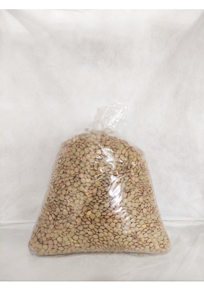 Beslenme Dedektifi Yeşil Mercimek  1 KG
