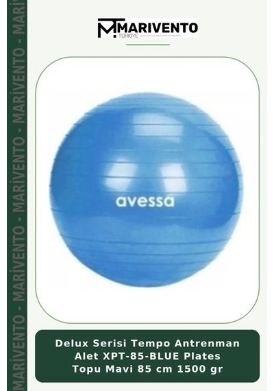 Delux Serisi Tempo Antrenman Alet Xpt-85-blue Plates Topu Mavi 85 Cm 1500 Gr