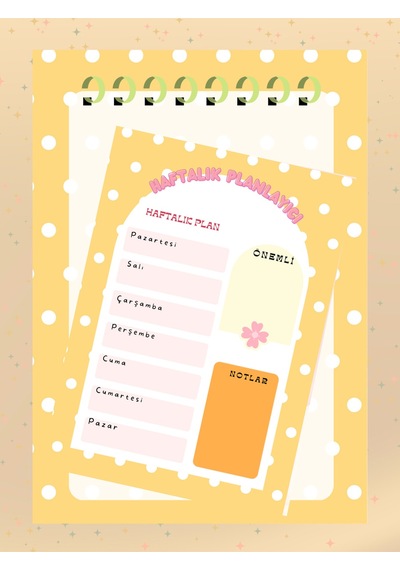Günlük Planlayıcılı Not Defteri Seti A4-a5 Blokbot Notepad Okul Çok Renkli