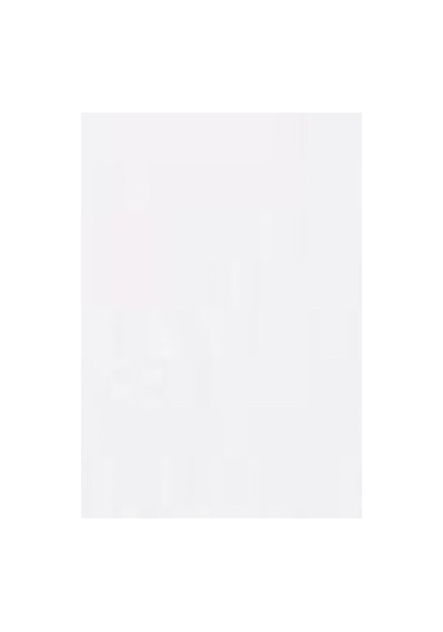 Levi's Heavyweight Loose Tişört-16367 Stacked Snowflower Tonal White