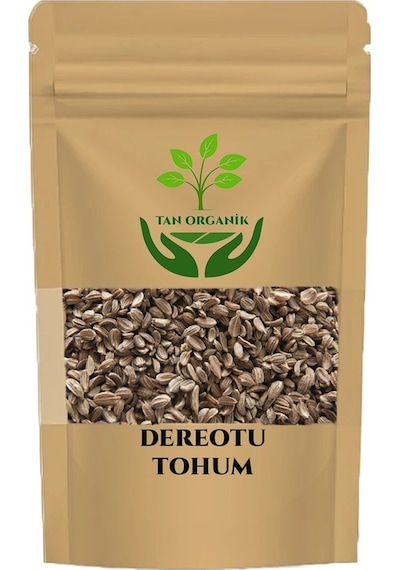 Dereotu Tohumu Anethum Graveolens 40 Gr
