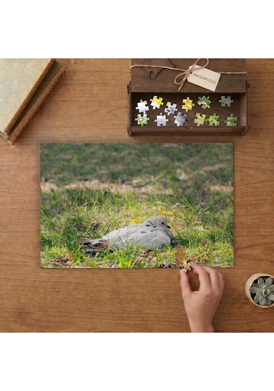 Beyaz Güvercin Tasarımı 240 Parça Ahşap Puzzle Ahşap Kutuda Mpy50409