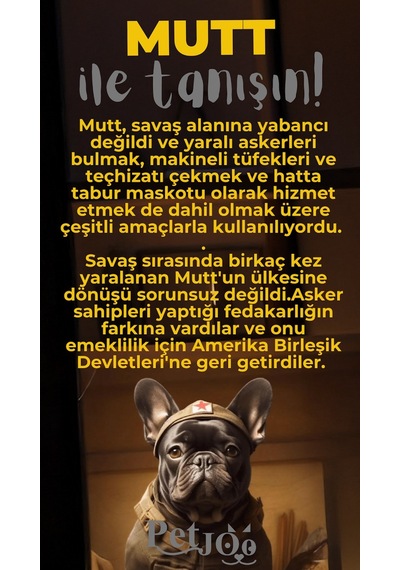 Petjoo 10.Mutt Gri-Sarı Qr'lı Köpek Künyesi