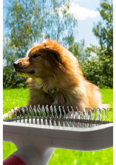 Thentech Kedi Köpek Evcil Hayvan Tüy Toplama Tarağı İkili Set Acıtmaz Özel Tasarım Tüy Toplama Fırçası