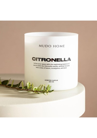 Cıtronella Mum 480gr Çok Renkli