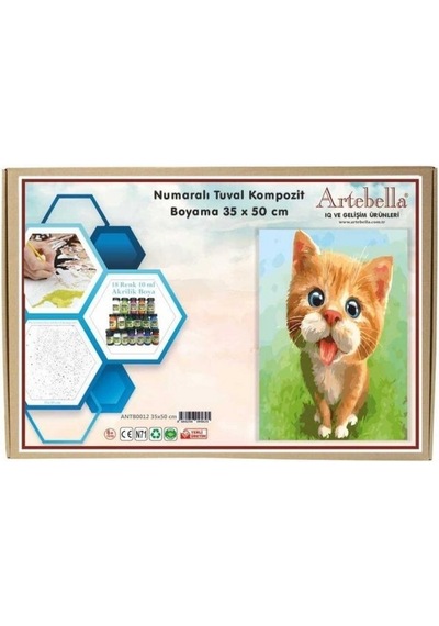 Artebella 35x50 Numaralı Kompozit Tuval Boyama kedi ANTB0012