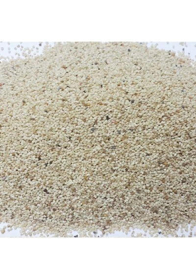Derya Eren Haşhaş Tohumu Beyaz Haş Haş 500 G