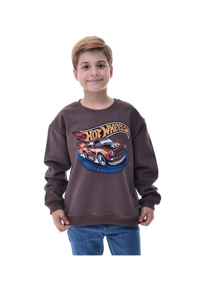 Kahverengi Erkek Çocuk Baskılı Sweatshirt Kahverengi
