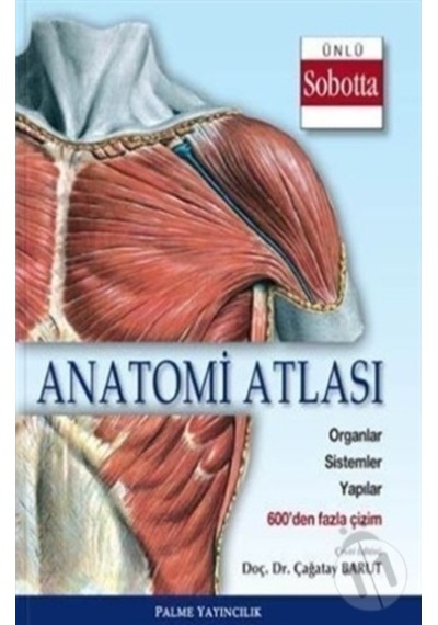 Anatomi Atlası Ünlü Sobotta Çizimleri Palme