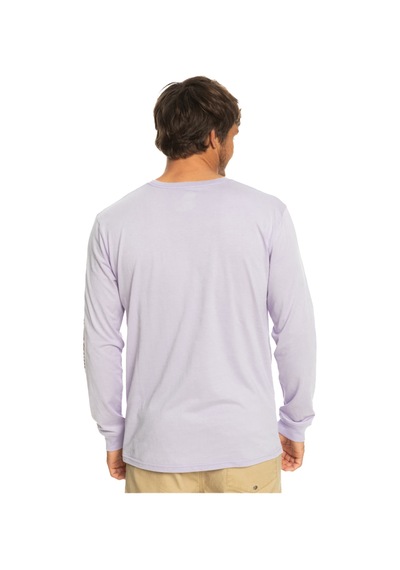 Quiksilver Eqyzt07233 Omnilogo M Tees Erkek Tişört 001 Lila
