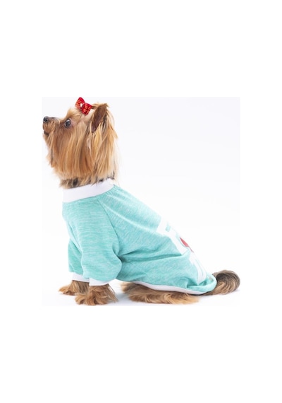 Pawstar Mint Fun Day Kedi Köpek Sweati Kıyafeti