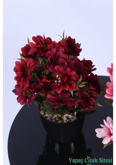 Yapay Çiçek Sitesi Plastik Saksıda Yapay Katmerli Papatya Tanzimi 2'li Set 25 Cm Bordo - Fuşya Pembe