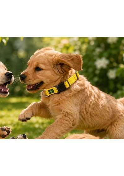 Hunter Tripoli Ayarlanabilir Reflektörlü Köpek Boyun Tasması - Xxs-xs Beden 14-20 Cm Sarı