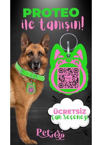 Petjoo 24.Proteo Pembe-Yeşil Qr'lı Köpek Künyesi